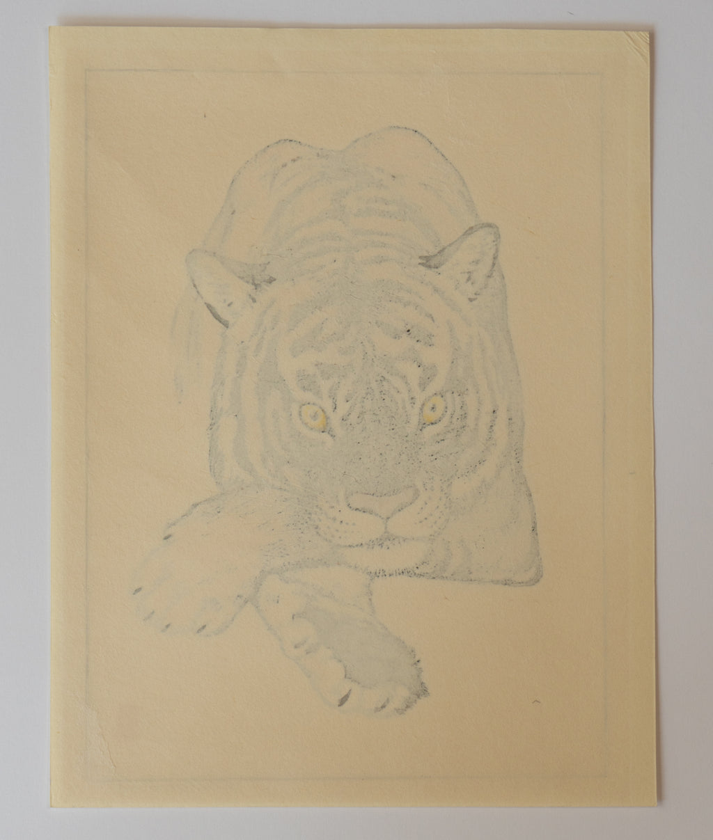Tiger - Toshi Yoshida