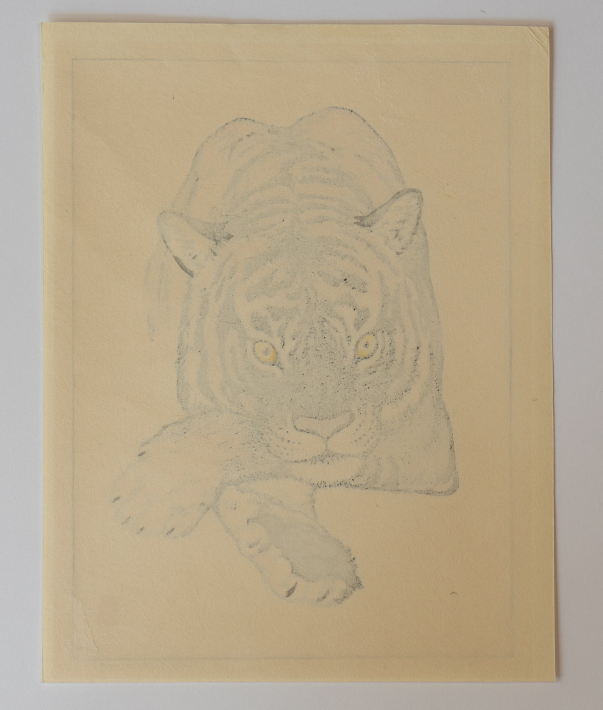 Tiger - Toshi Yoshida